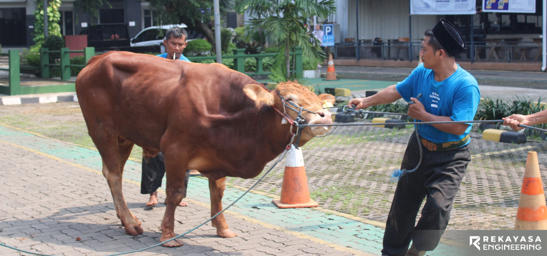 HEADLINE - CSR IDUL ADHA 20252